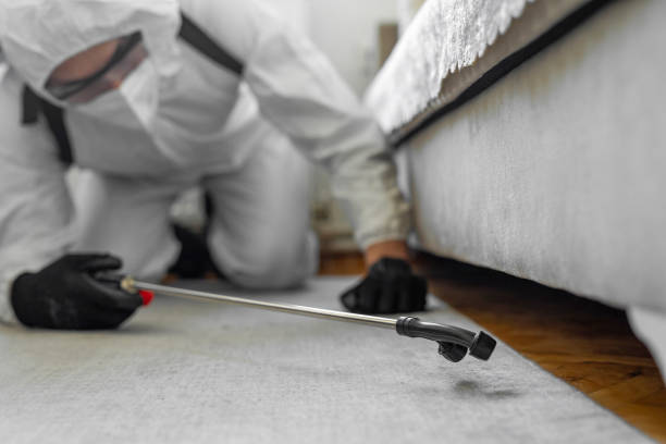Professional Cockroach Control technician working in Rio Vista, TX