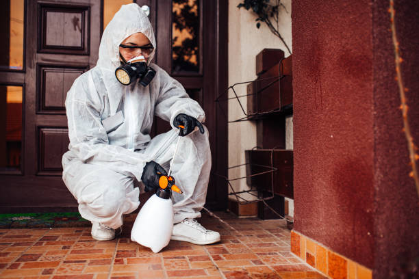 Reliable Cockroach Control contractor in Rio Vista, TX by Nex Pest Control